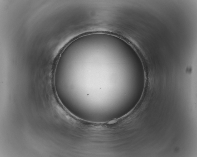 X0000113591460200910021705