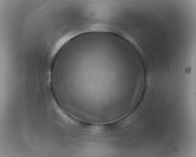 X0000113591461200910021705