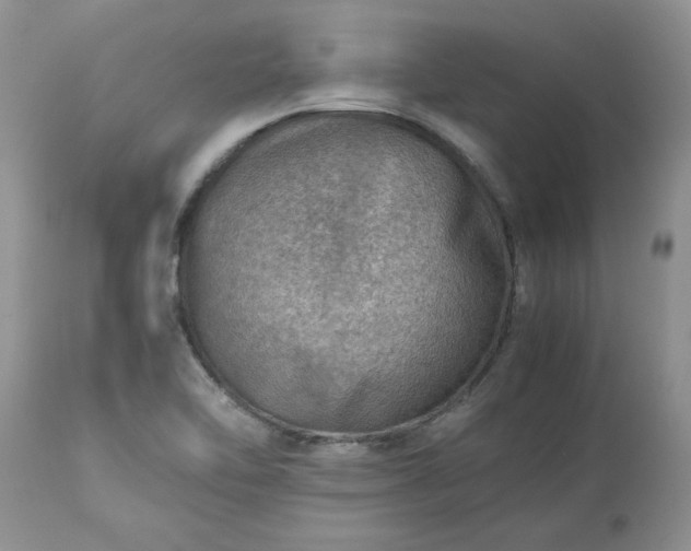 X0000113591462200910021705