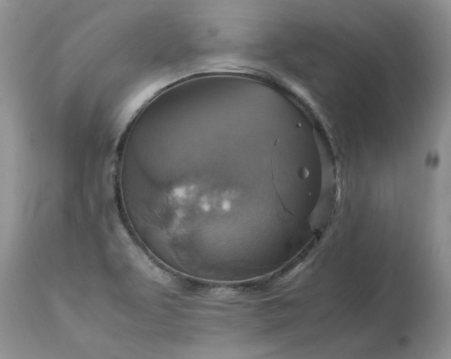 X0000113591463200910021705