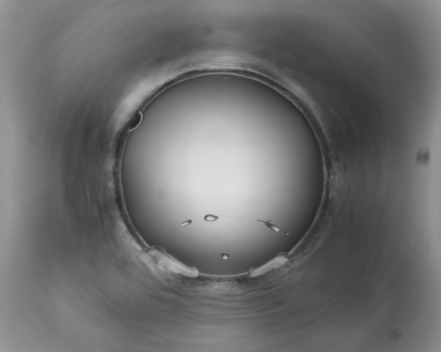 X0000113591464200910021705