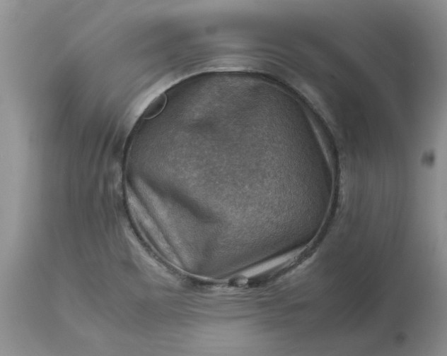 X0000113591465200910021705