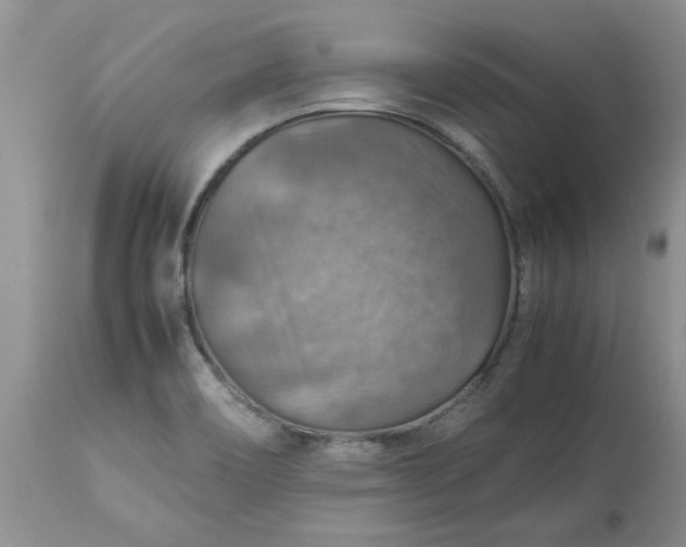 X0000113591466200910021705