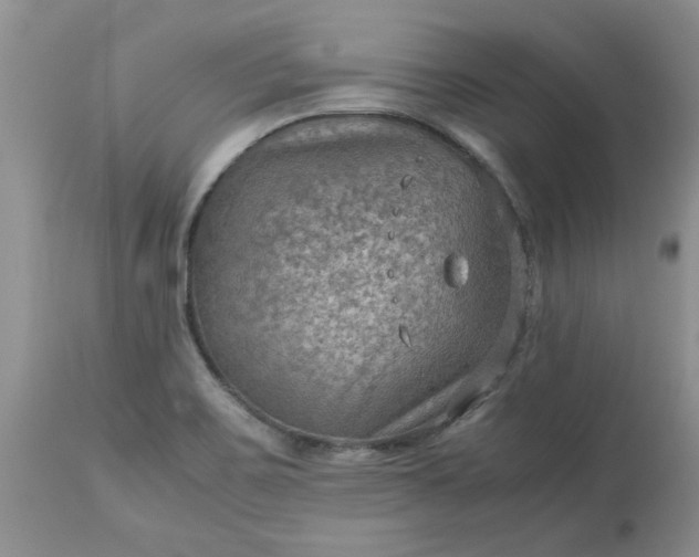 X0000113591467200910021705