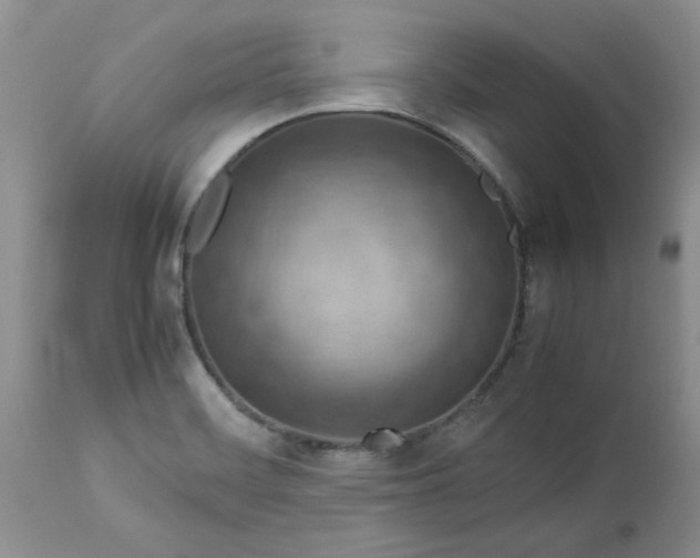 X0000113591468200910021705