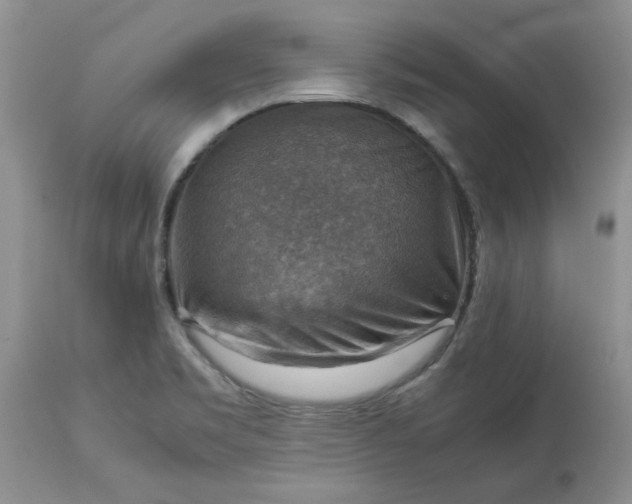 X0000113591469200910021705