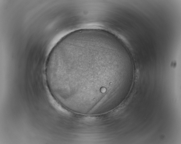 X0000113591470200910021705