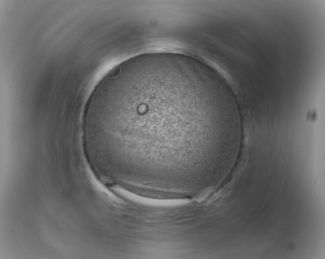 X0000113591471200910021705