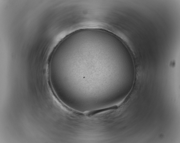 X0000113591472200910021705