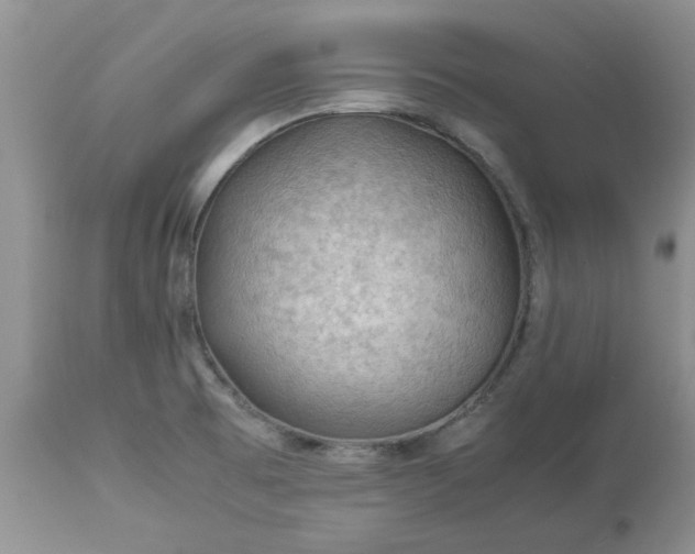 X0000113591473200910021705