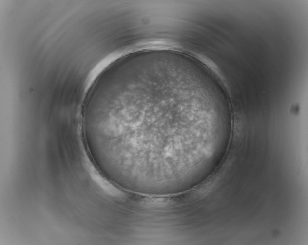 X0000113591474200910021705