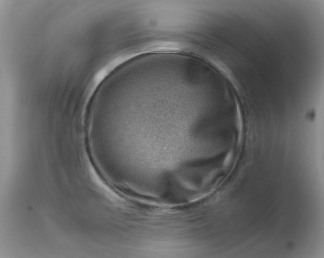 X0000113591475200910021705