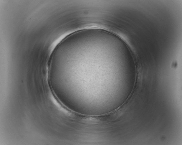 X0000113591476200910021705