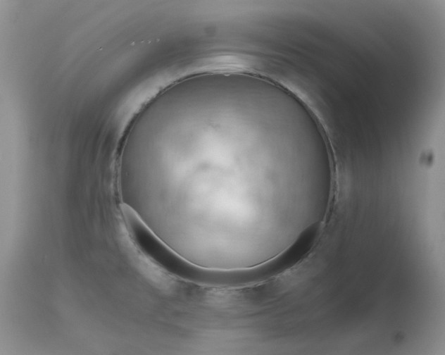 X0000113591477200910021705