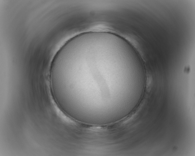 X0000113591478200910021705