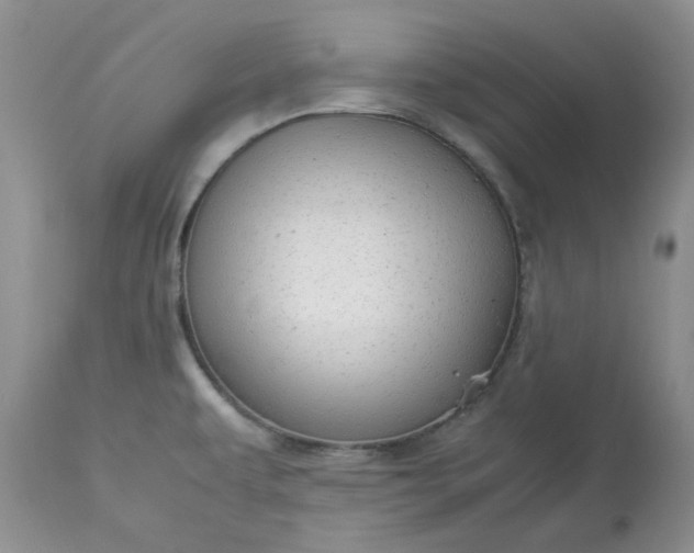 X0000113591479200910021705