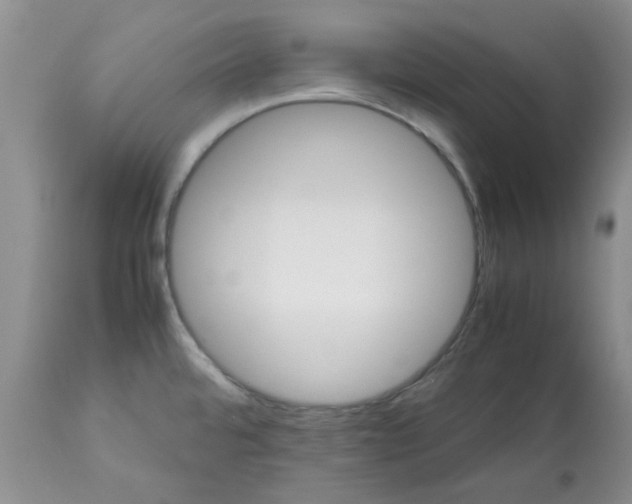 X0000113591480200910021705