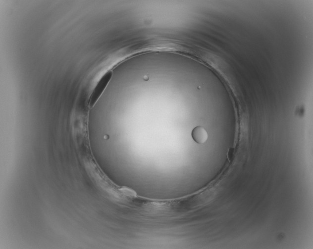 X0000113591481200910021705