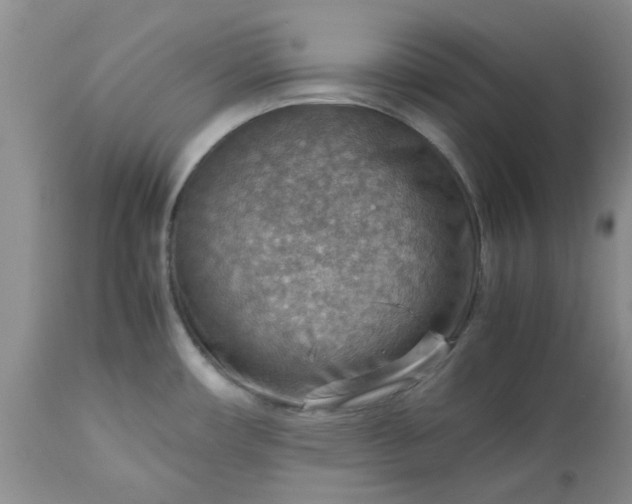 X0000113591482200910021705