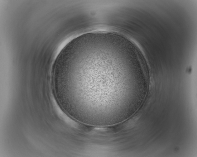 X0000113591483200910021705