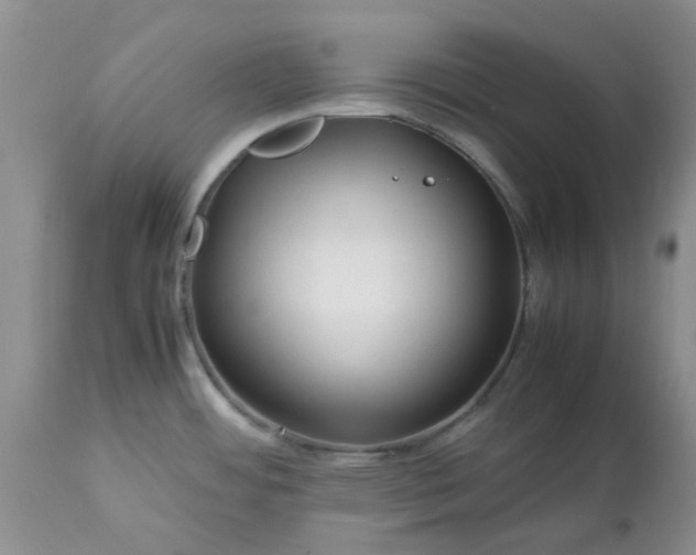 X0000113591484200910021705