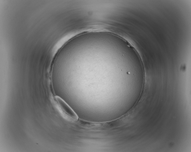 X0000113591485200910021705