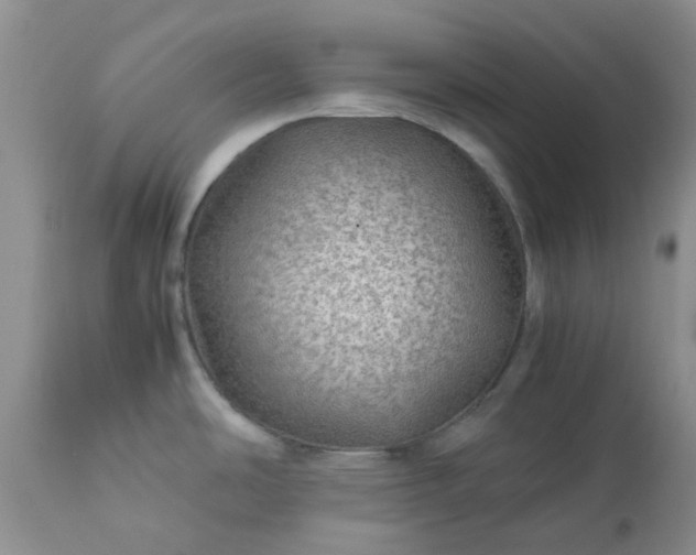 X0000113591486200910021705