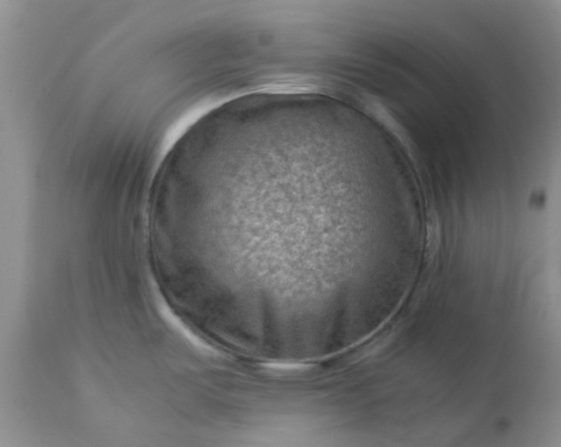 X0000113591487200910021705