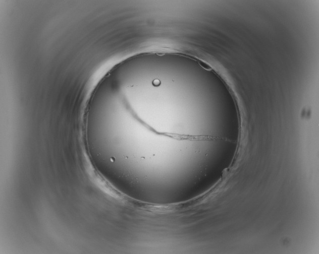 X0000113591488200910021705