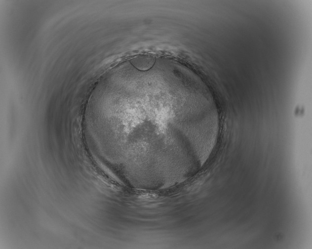 X0000113591489200910021704