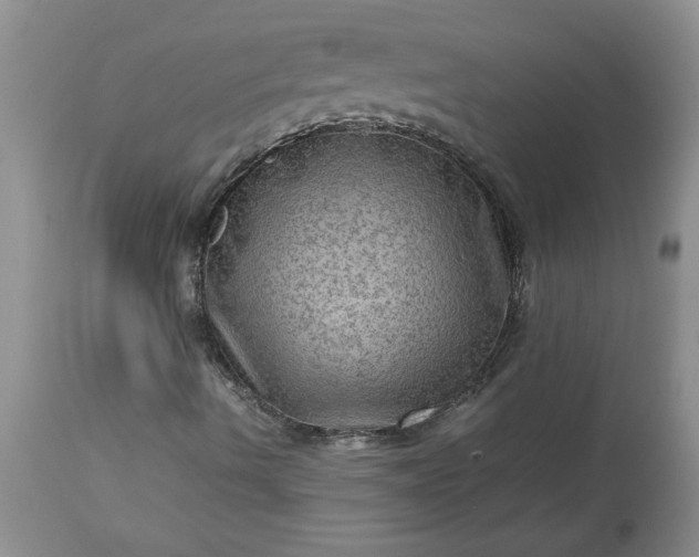 X0000113591490200910021704