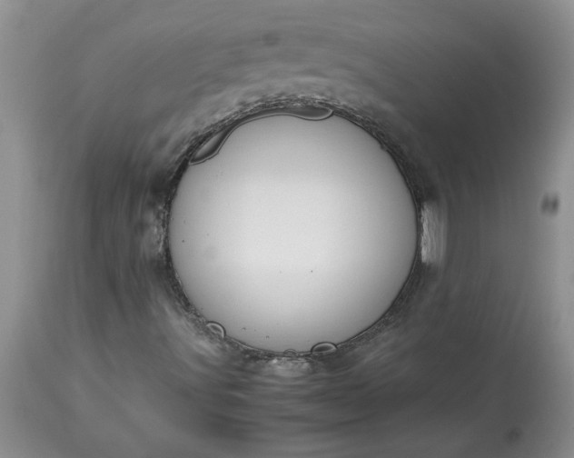 X0000113591491200910021704