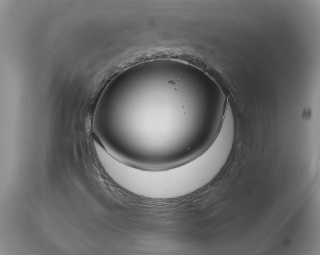 X0000113591492200910021704