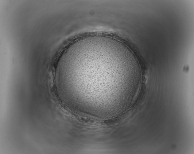 X0000113591493200910021704