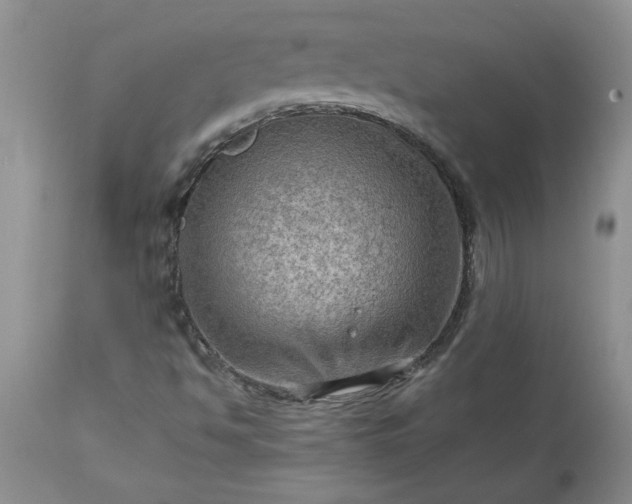 X0000113591494200910021704