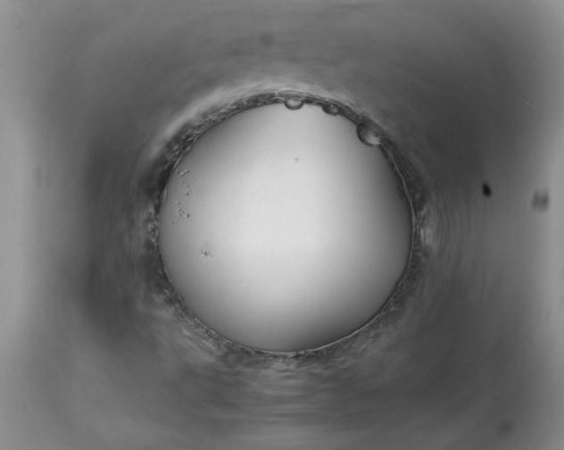 X0000113591495200910021704