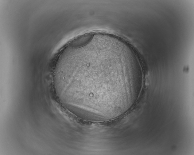 X0000113591496200910021704