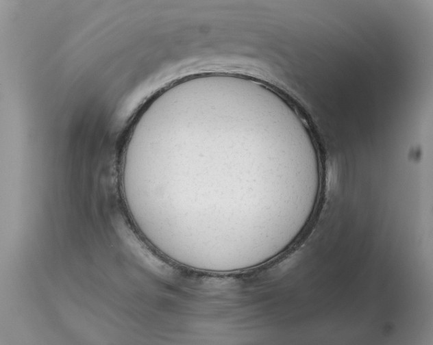 X0000113591498200910021704