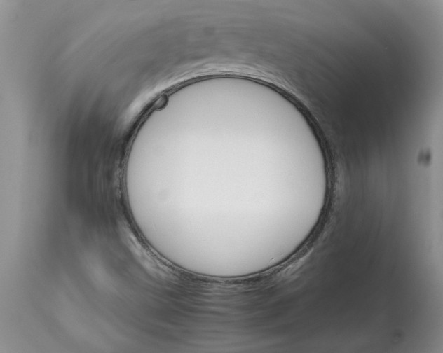 X0000113591499200910021704