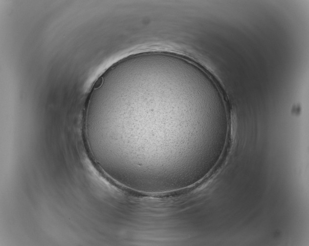 X0000113591500200910021704