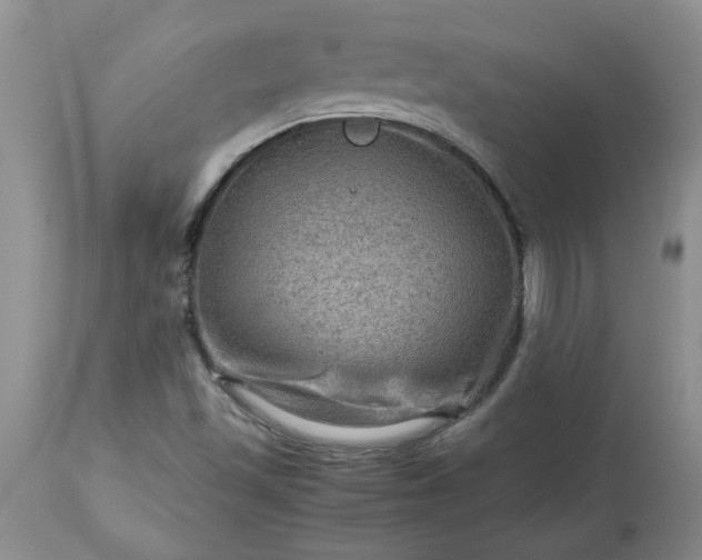 X0000113591501200910021704