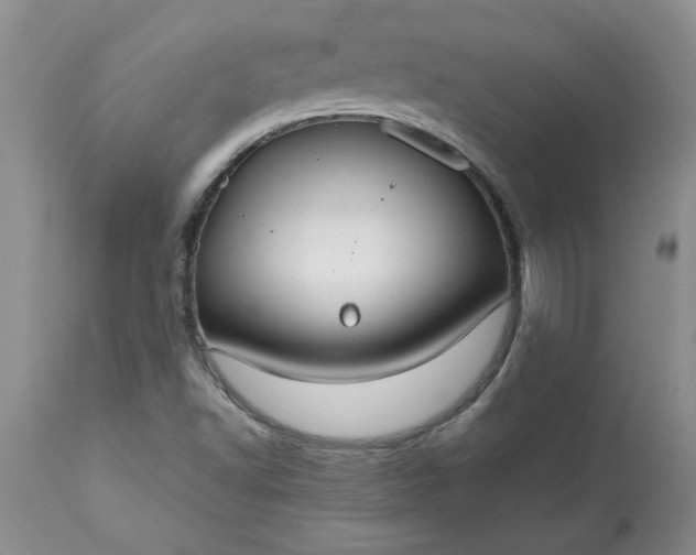 X0000113591502200910021704