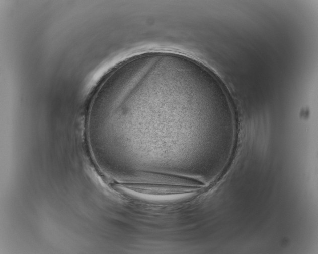 X0000113591503200910021704