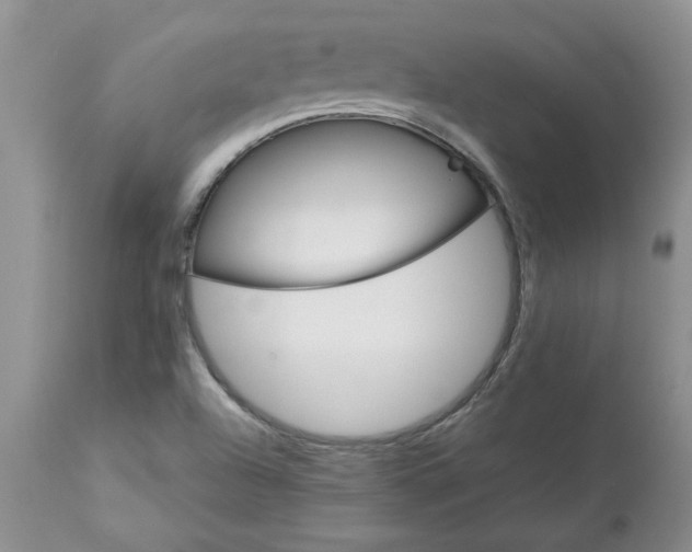 X0000113591504200910021704