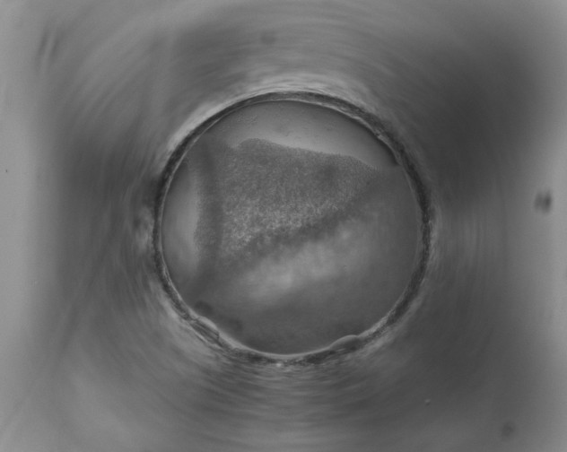 X0000113591505200910021704