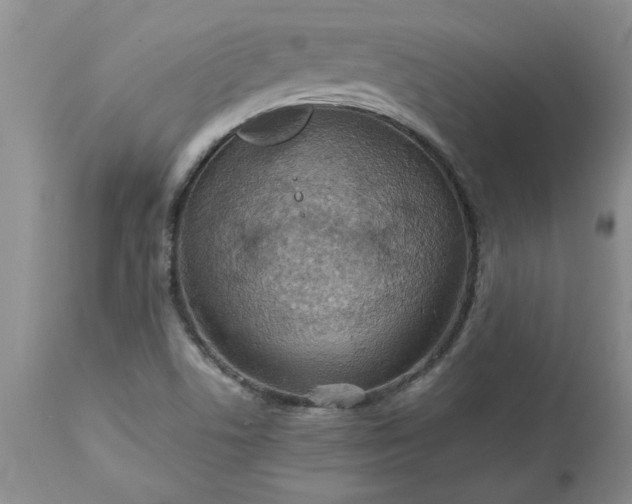 X0000113591506200910021704