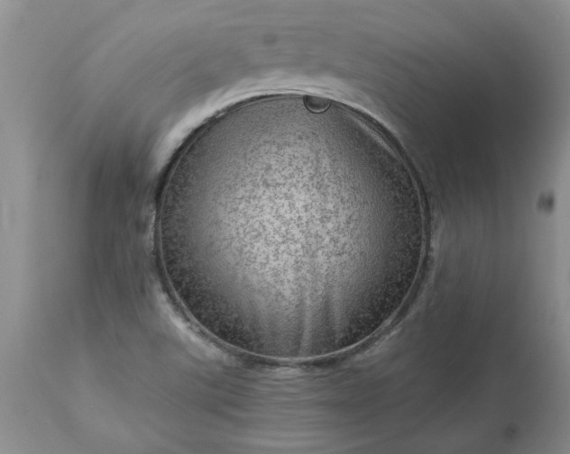 X0000113591507200910021704