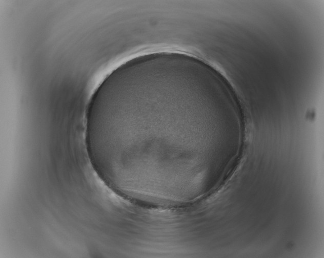 X0000113591508200910021704