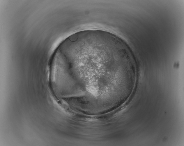 X0000113591509200910021704