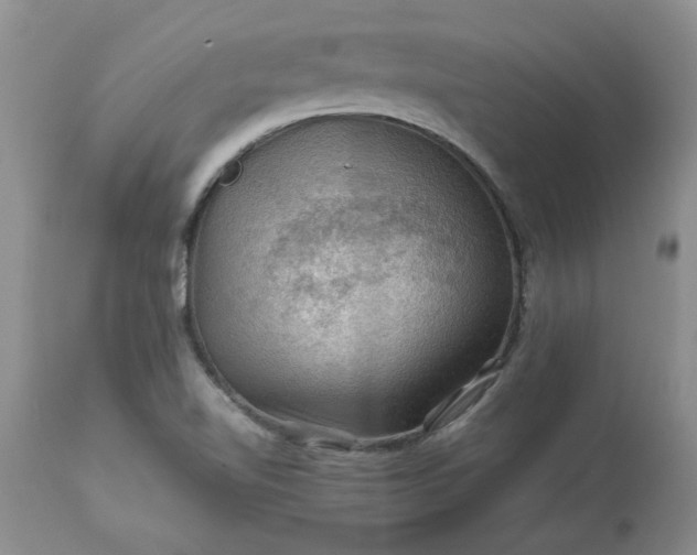 X0000113591510200910021704